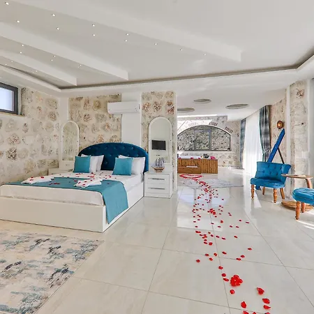 Villa Serin *