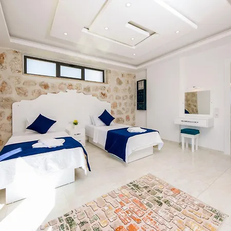 Villa Serin *