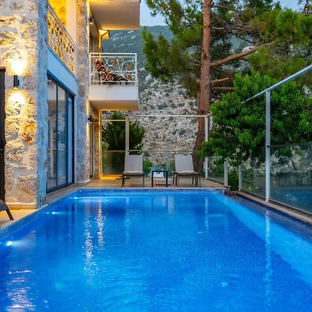 Villa Serin *