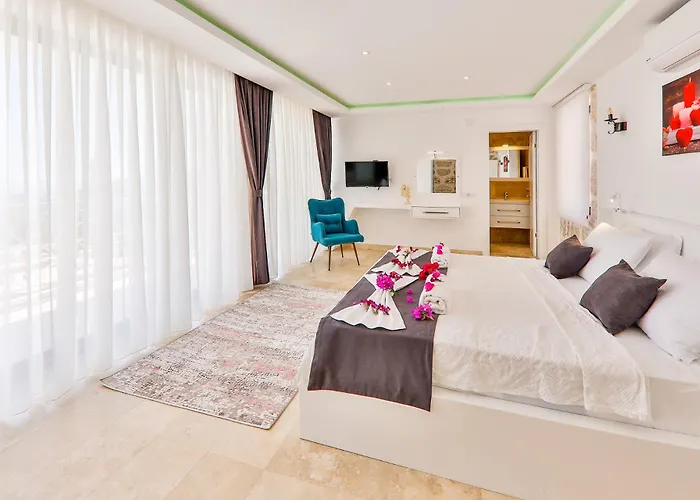 Villa Serin *