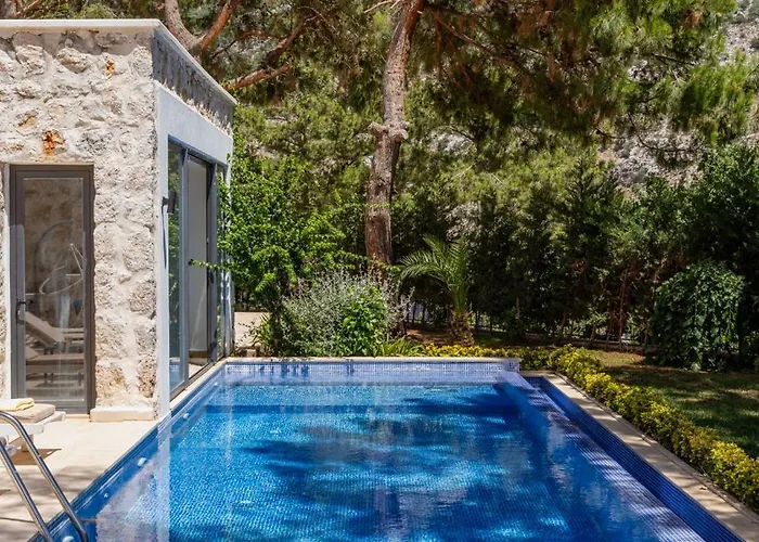 Villa Serin *