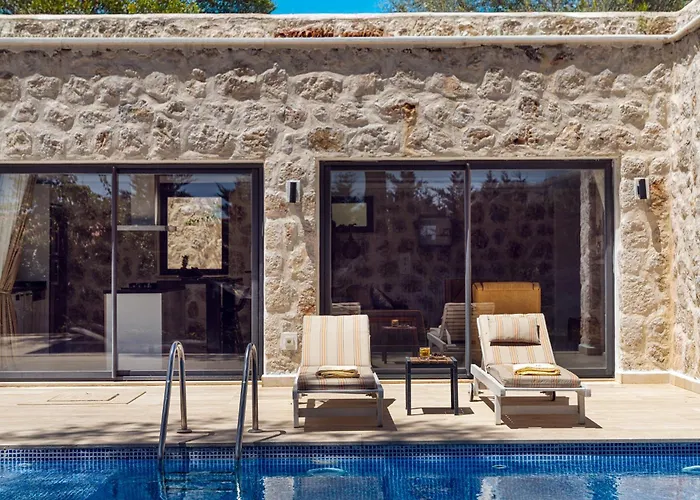 Villa Serin *