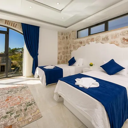 Villa Serin *